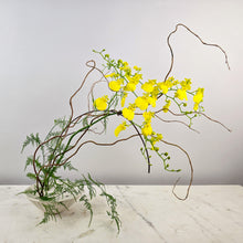 Load image into Gallery viewer, Designer's Choice NATURAL