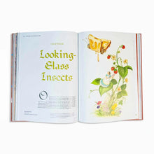 Load image into Gallery viewer, Alice in Wonderland Art Novel, "Wonderful Curiosities" Art Cover