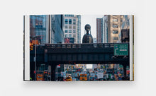 Load image into Gallery viewer, Elevated: Art on the High Line