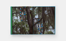 Load image into Gallery viewer, Where Art Meets Nature: The Sydney and Walda Besthoff Sculpture Garden