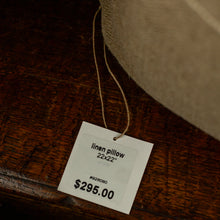 Load image into Gallery viewer, MISTRI Pillow - 22"x22"