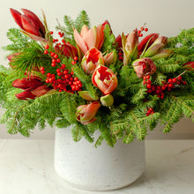 Load image into Gallery viewer, Designer's Choice RED