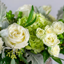 Load image into Gallery viewer, Designer's Choice GREEN & WHITE