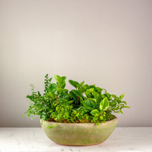 Load image into Gallery viewer, Custom Dish Garden Deluxe