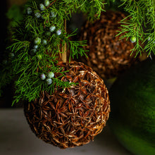 Load image into Gallery viewer, Gilded Star Anise Bulb Ornament, Set of 3