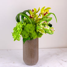 Load image into Gallery viewer, Designer's Choice GREEN & WHITE