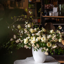 Load image into Gallery viewer, Designer's Choice GREEN & WHITE