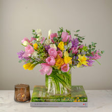 Load image into Gallery viewer, Designer's Choice PASTELS