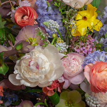 Load image into Gallery viewer, Designer's Choice PASTELS