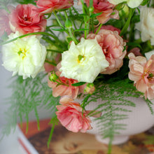 Load image into Gallery viewer, Designer's Choice PASTELS