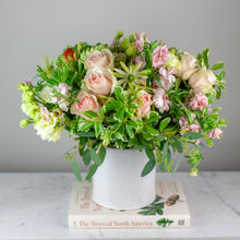 Load image into Gallery viewer, Designer's Choice PASTELS