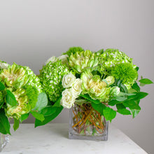 Load image into Gallery viewer, Designer's Choice GREEN & WHITE