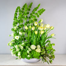 Load image into Gallery viewer, Designer's Choice GREEN & WHITE