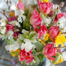 Load image into Gallery viewer, Designer's Choice PASTELS