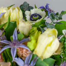 Load image into Gallery viewer, Designer's Choice PASTELS