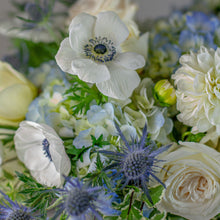 Load image into Gallery viewer, Designer's Choice PASTELS