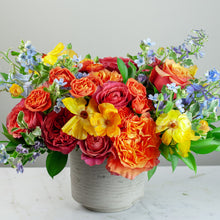 Load image into Gallery viewer, Designer's Choice CITRUS