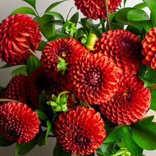 Load image into Gallery viewer, Designer's Choice MARKET FLORAL