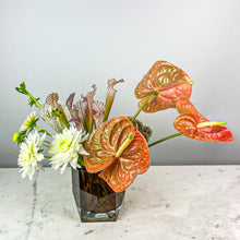 Load image into Gallery viewer, Designer's Choice CITRUS