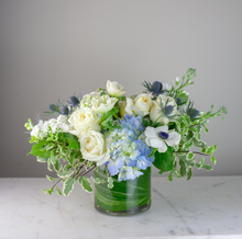 Load image into Gallery viewer, Designer's Choice PASTELS