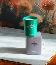 Load image into Gallery viewer, Kerzon Paris Herbarium Candle Collection