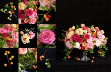 Load image into Gallery viewer, Cathy B. Graham: Full Bloom