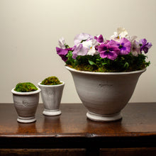 Load image into Gallery viewer, Wakefield Adley Pot