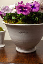 Load image into Gallery viewer, Wakefield Adley Pot