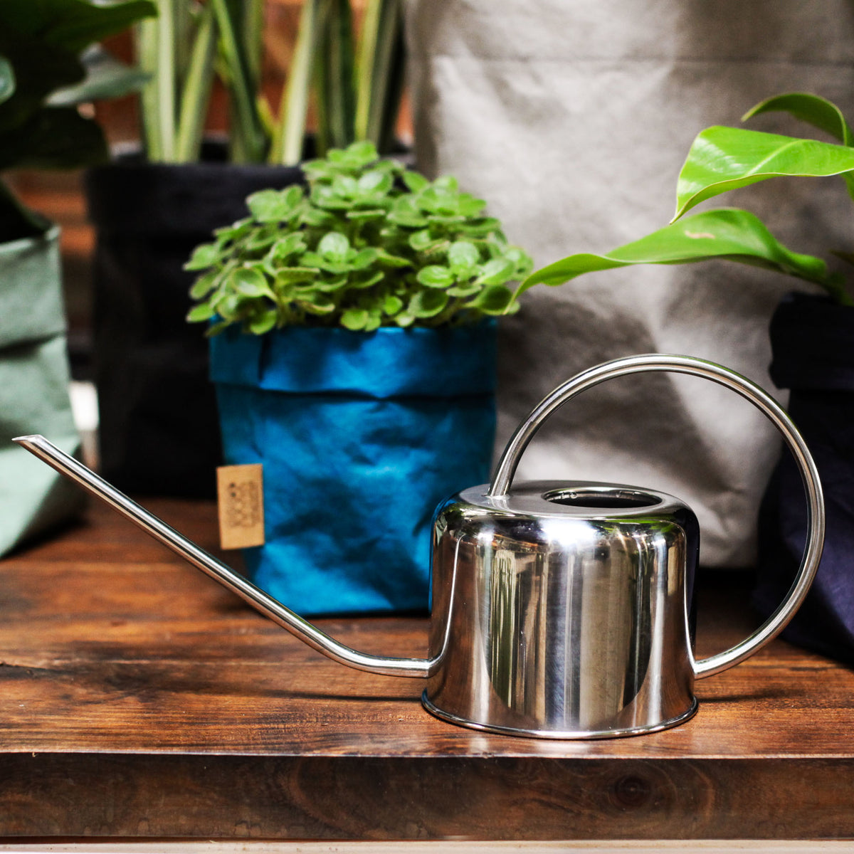 house plant watering can Stainless Steel Watering Can – fleurdetroit