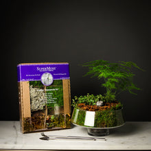 Load image into Gallery viewer, Terrarium Starter Kit
