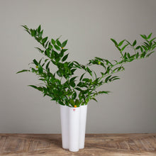 Load image into Gallery viewer, Iittala Aalto Finlandia Vase 8" White