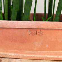 Load image into Gallery viewer, Cassetta Liscia due Bordi - 14"