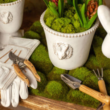 Load image into Gallery viewer, Indoor Gardening Set