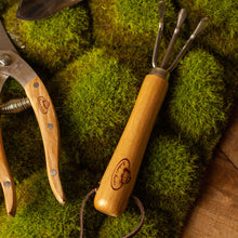 Load image into Gallery viewer, Indoor Gardening Set