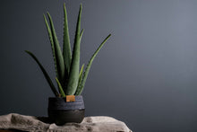 Load image into Gallery viewer, Ceramic and Cotton Rope Cachepots