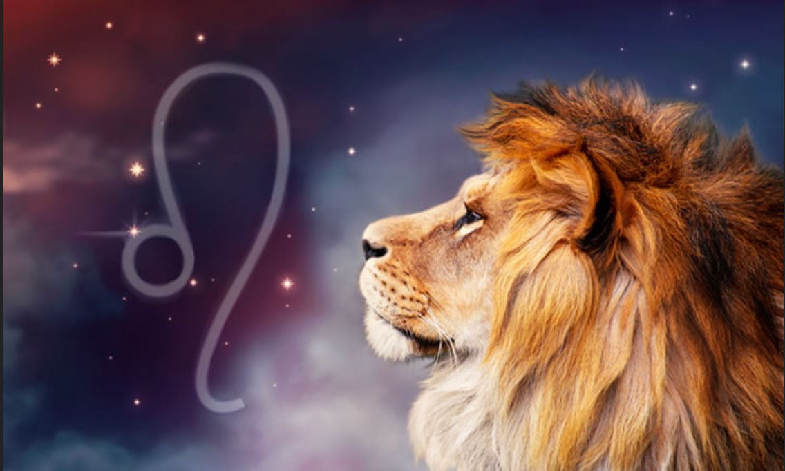 A Leo Month Reflection