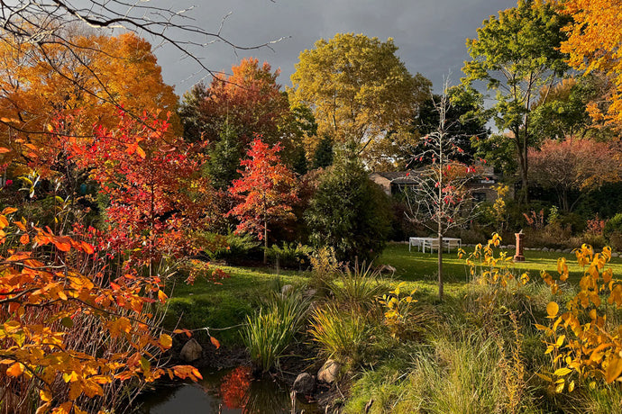 Ominous skies and glorious colours—Hello, November! Hello, fellow Scorpio friends!