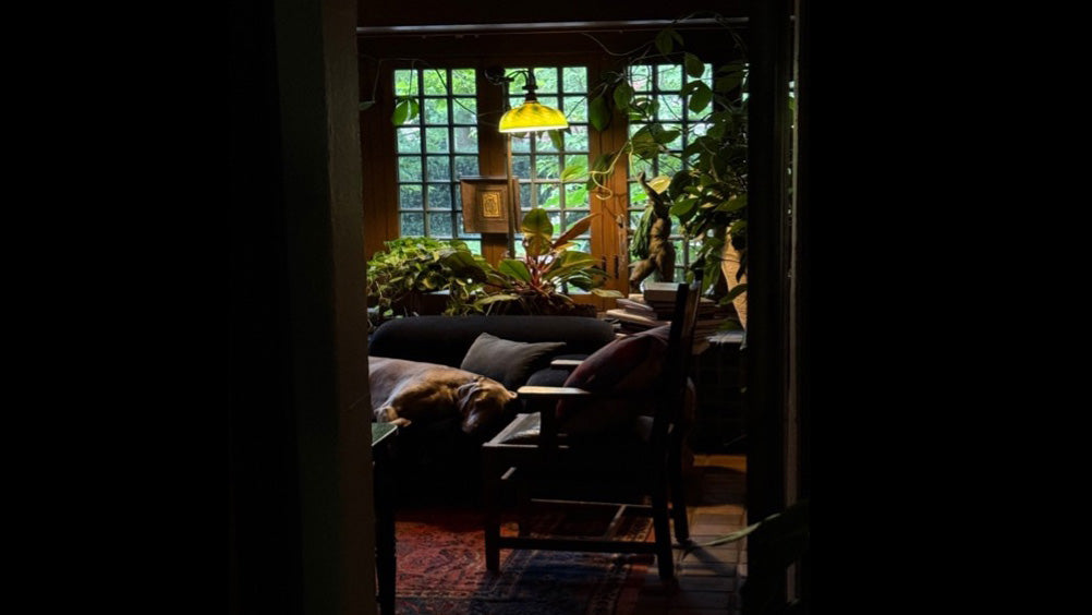 Embracing Change: The Art of Rearranging Your Interior Spaces in Winter