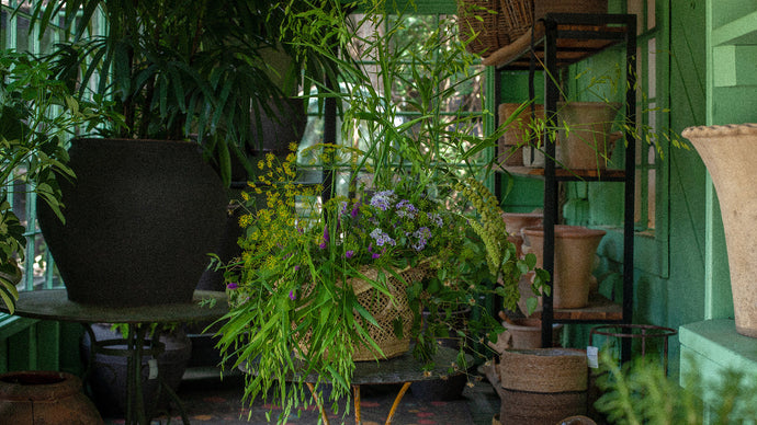 Baskets and Blooms