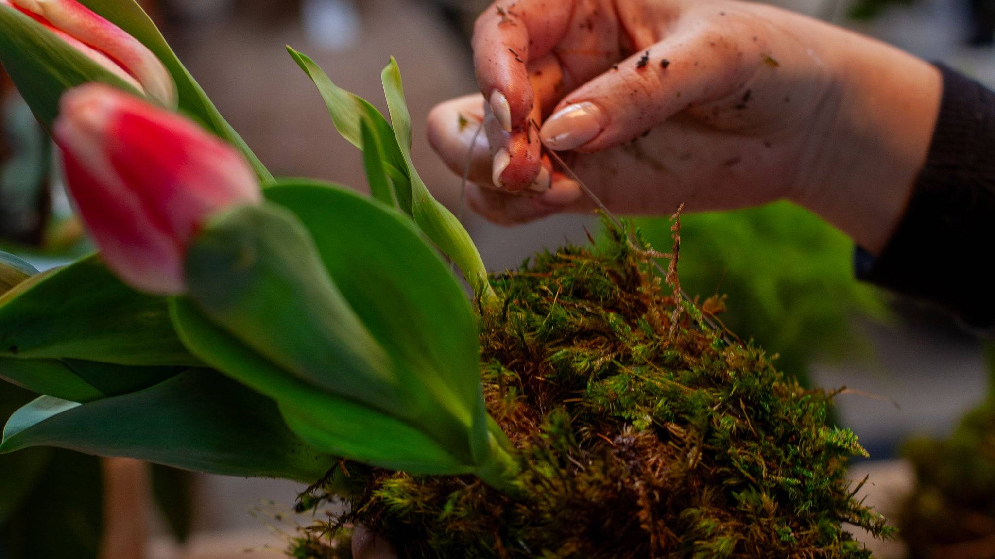 Be Inspired to Create - fleurdetroit Workshops