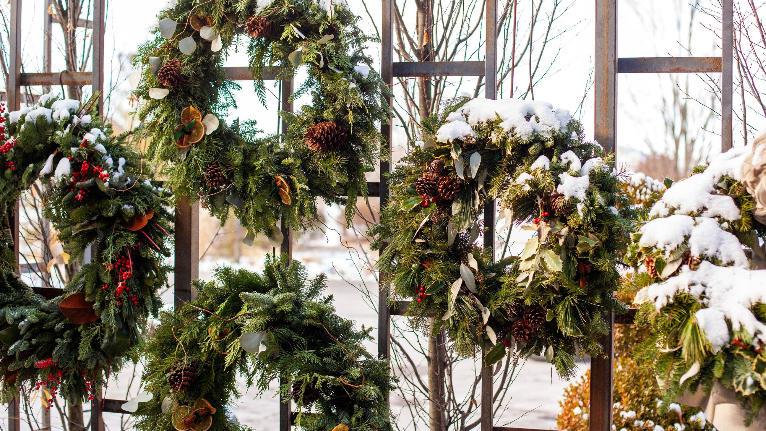 Designing with Winter Greens