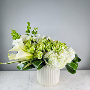 Designer's Choice GREEN & WHITE