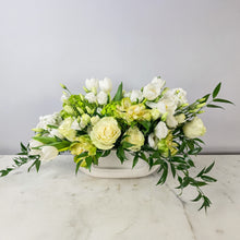Load image into Gallery viewer, Designer&#39;s Choice GREEN &amp; WHITE
