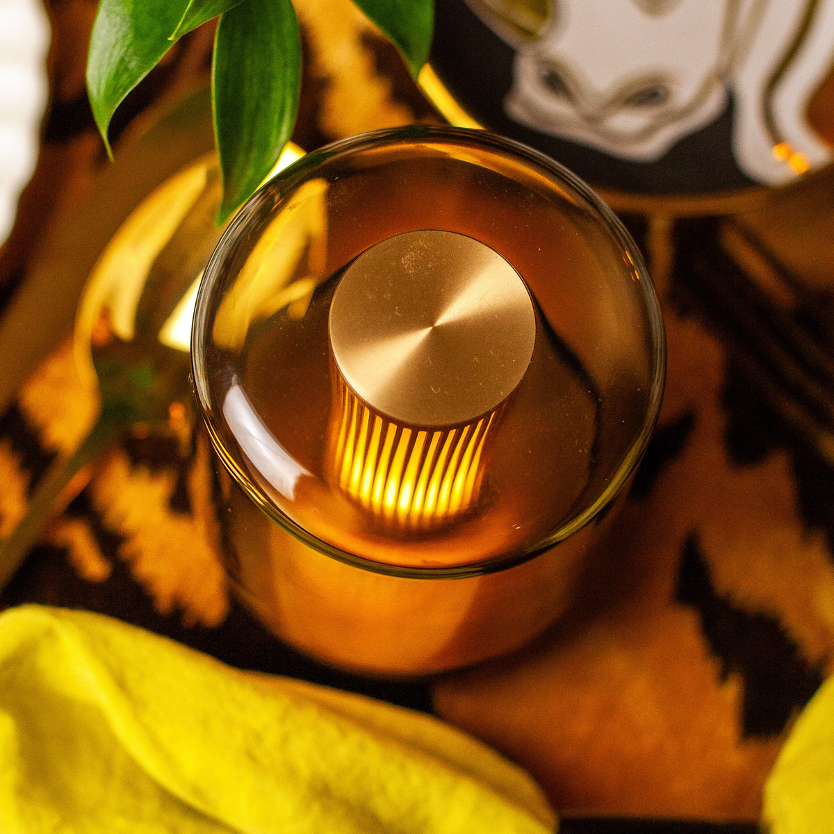 Humble Firefly Table Lamp – fleurdetroit
