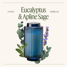 Load image into Gallery viewer, La Jolie Muse Amélie Candle Collection, 19 oz
