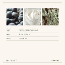 Load image into Gallery viewer, La Jolie Muse Amélie Candle Collection, 19 oz.
