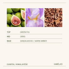 Load image into Gallery viewer, La Jolie Muse Amélie Candle Collection, 19 oz
