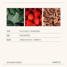 Load image into Gallery viewer, La Jolie Muse Amélie Candle Collection, 19 oz.
