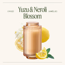 Load image into Gallery viewer, La Jolie Muse Amélie Candle Collection, 19 oz
