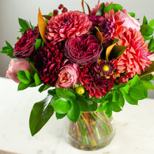 Load image into Gallery viewer, Designer's Choice RED
